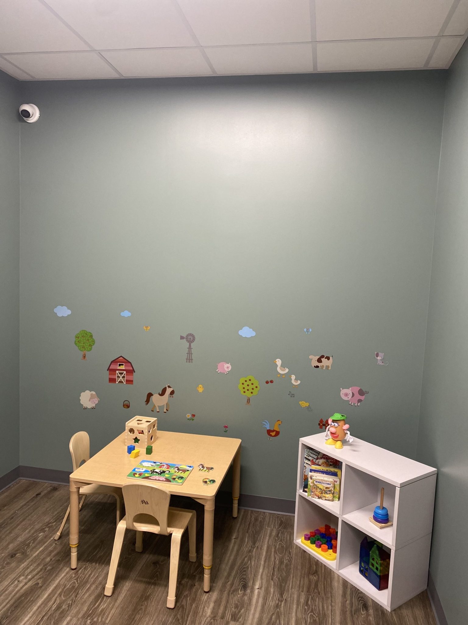 The Woodlands ABA Therapy | Desk and Cubbyholes