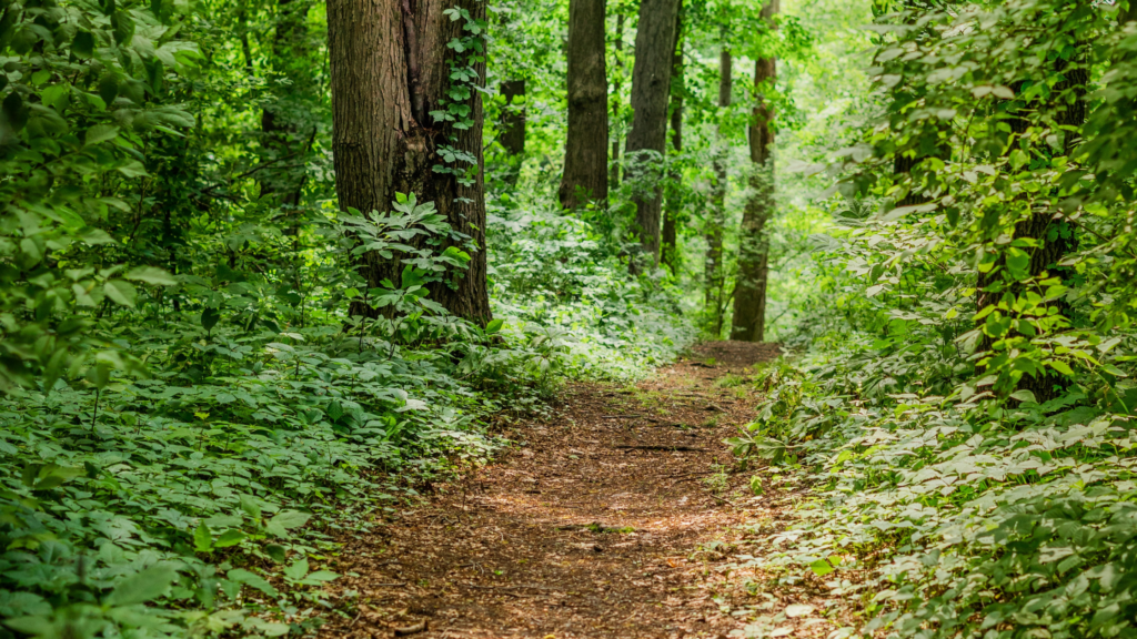 MustVisit Parks and Restaurants in Kingwood Apara Autism Center